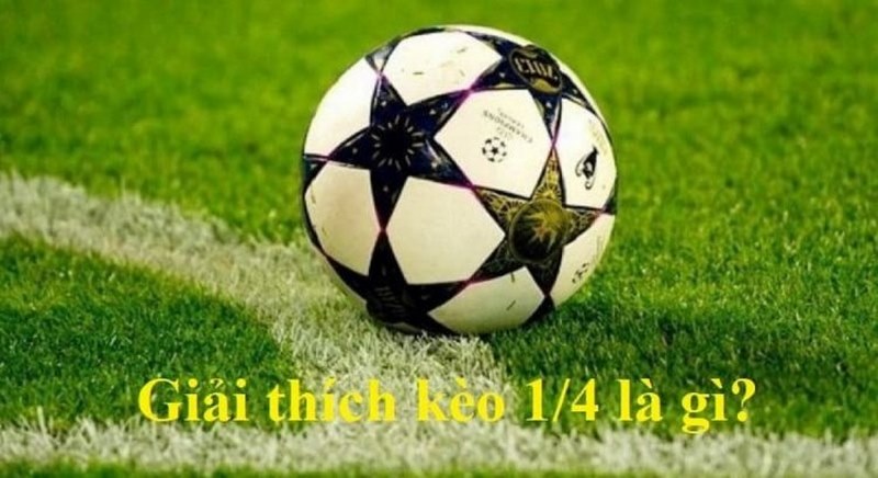 cách đọc kèo chấp 1/4 trái tại go88