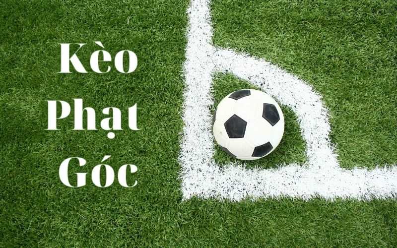 xem xét lối chơi hai đội bóng cược tải go88