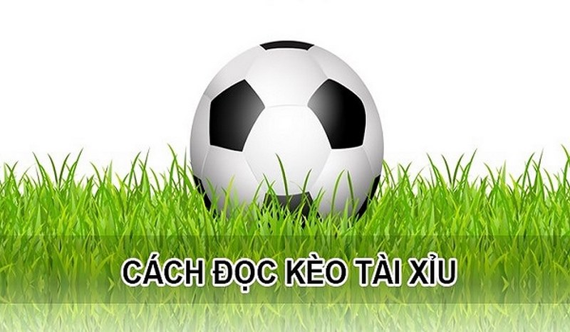 đọc kèo tài xỉu tại go88
