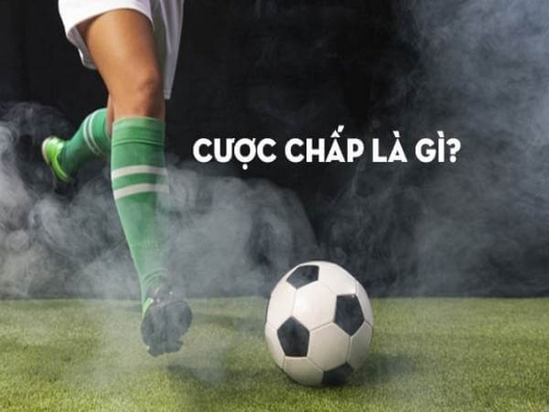 kèo cược chấp cá độ bóng đá go88 apk