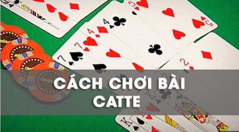 phỏng đoán bài catte tại play go88