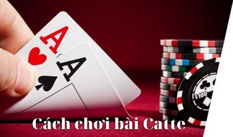 Bình tĩnh khi chơi đánh bài Catte go88 apk