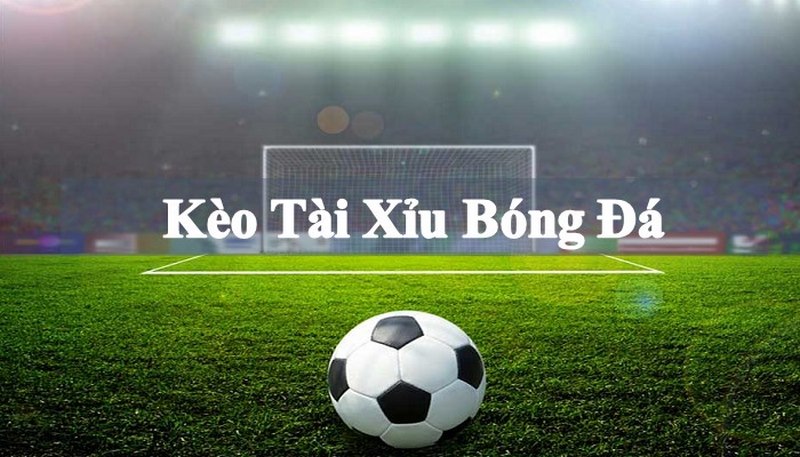đầu tư cá cược kèo Tài xỉu nhồi Tài trong cá độ Bóng đá Go88 live