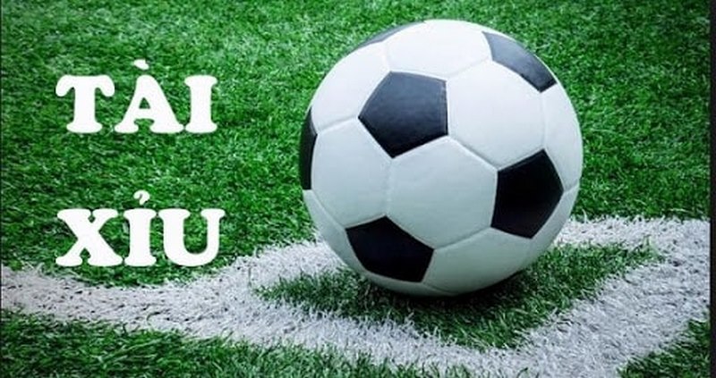 Bỏ tiền cược kèo Tài xỉu cá độ Bóng đá theo cao thủ Go88